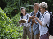 Preserving Biodiversity: Conservation Efforts Around the Globe